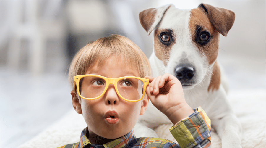 Dog Be The Ideal Pet for Your Family