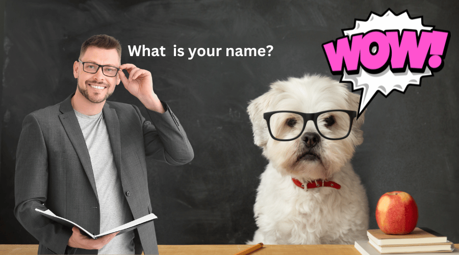 Teach A Dog Its Name