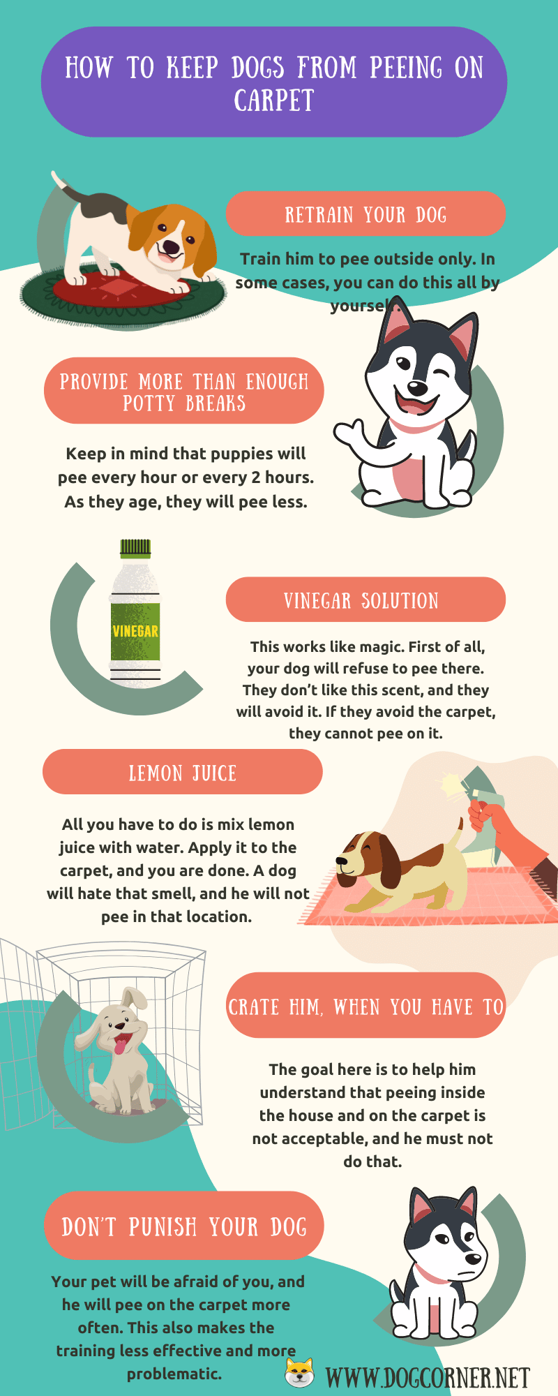 How to Keep Dogs from Peeing on Carpet