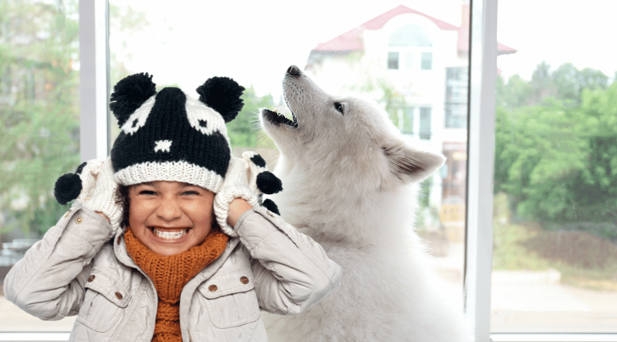 Why Do Dogs Howl and Can You Stop It