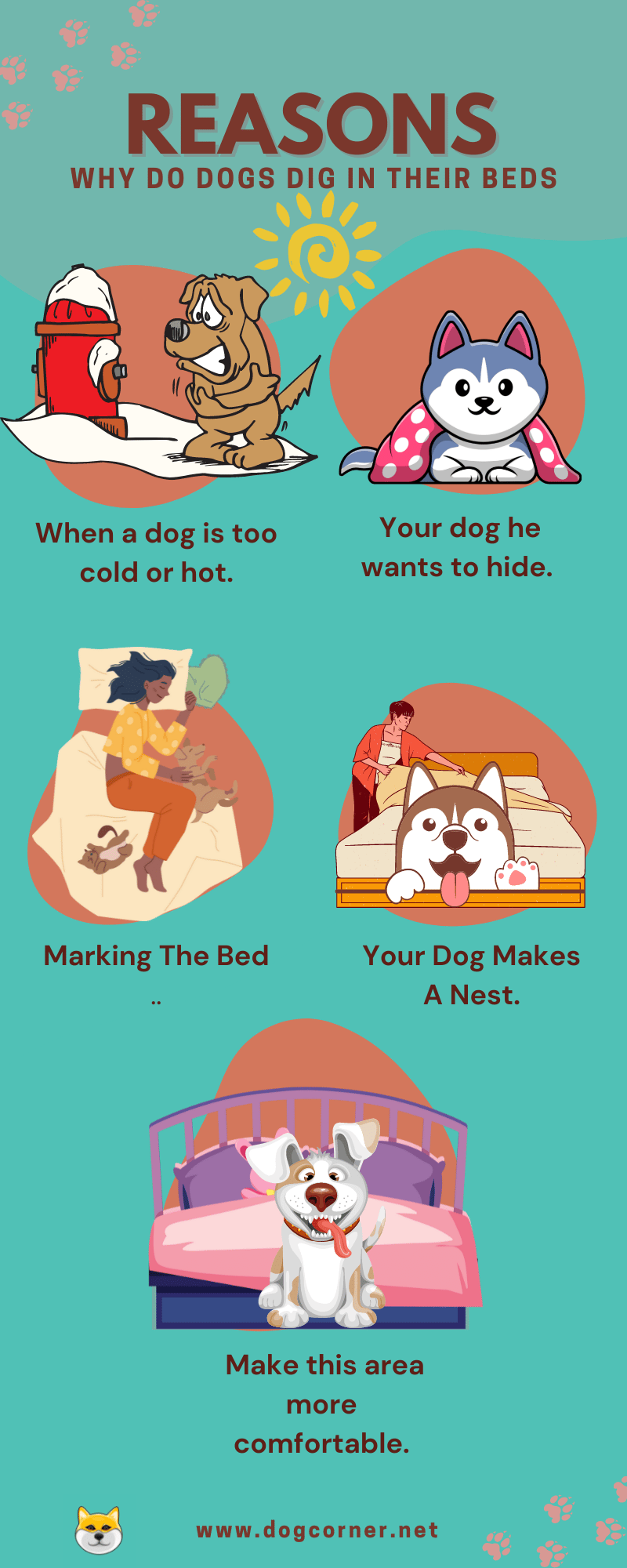 Reasons Why Do Dogs Dig In Their Beds