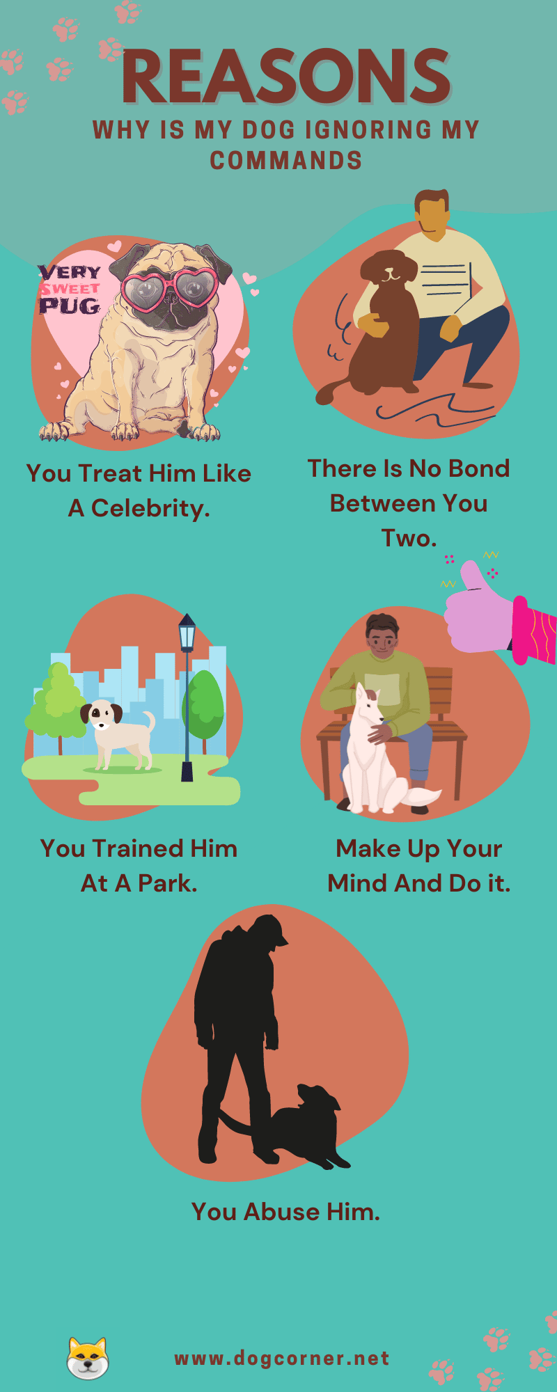 Reasons Why Is My Dog Ignoring My Commands