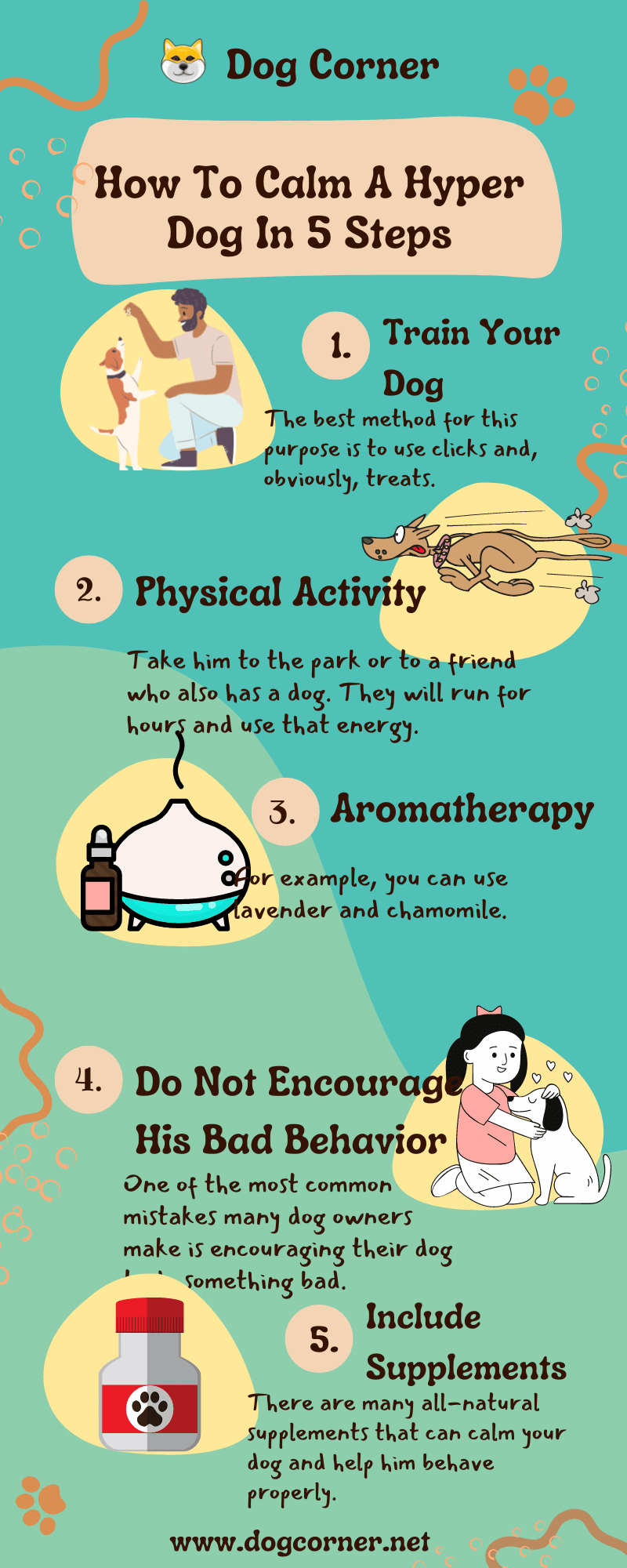 How To Calm A Hyper Dog In 5 Steps