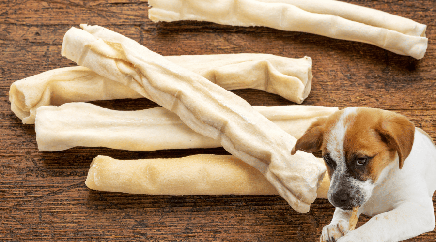 Can Dogs Actually Digest Rawhide