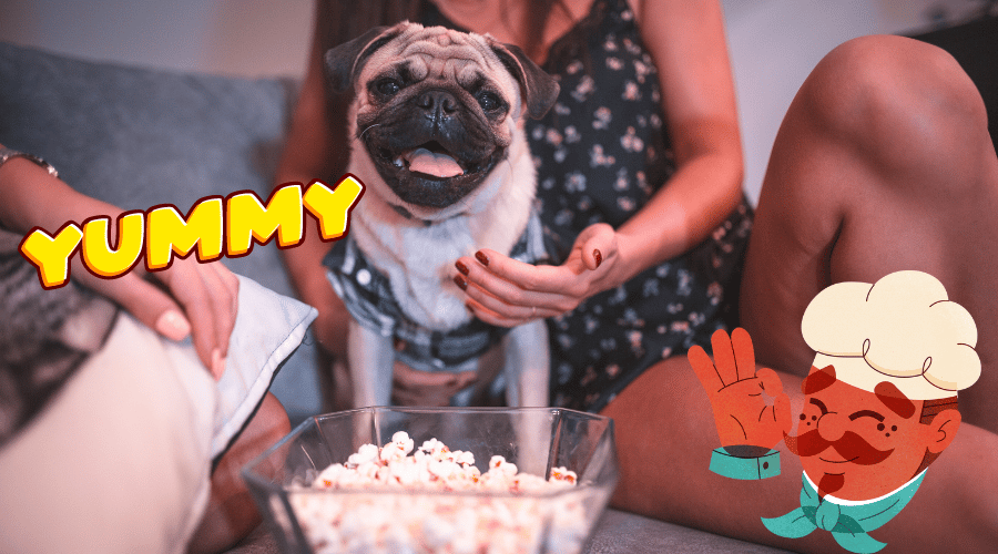 Can Dogs Eat Popcorn
