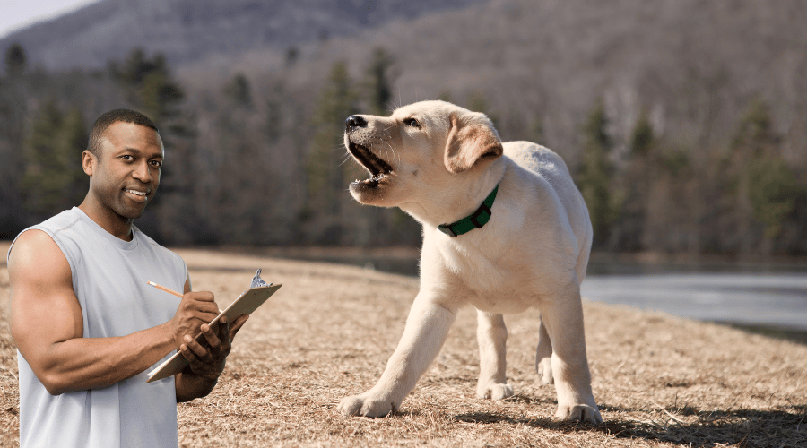 How To Train A Puppy Not To Bark