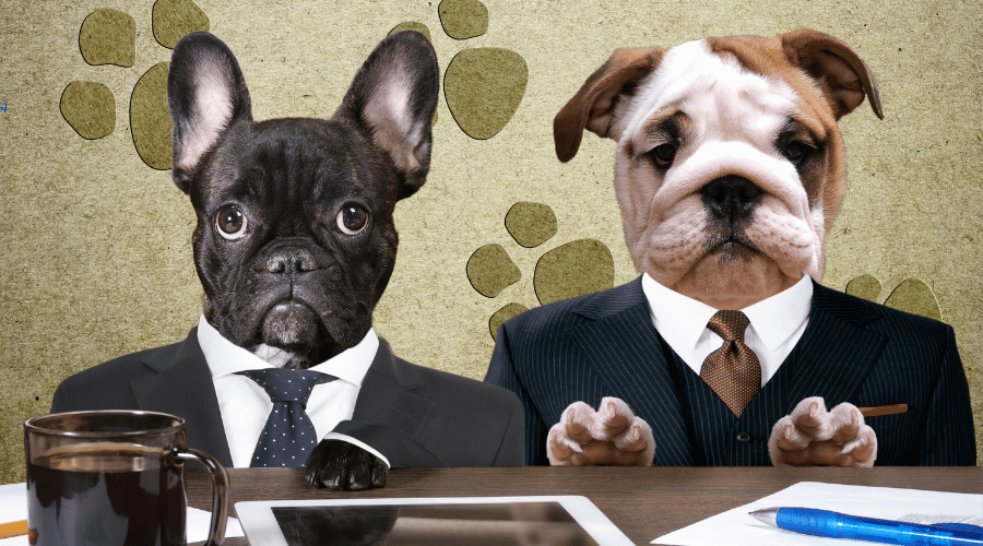 paper registration for dogs