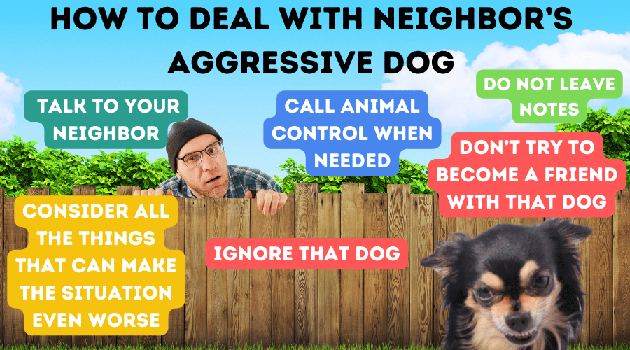 How To Deal With Neighbor’s Aggressive Dog