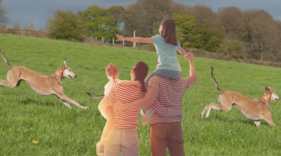 Are Lurchers Good with children