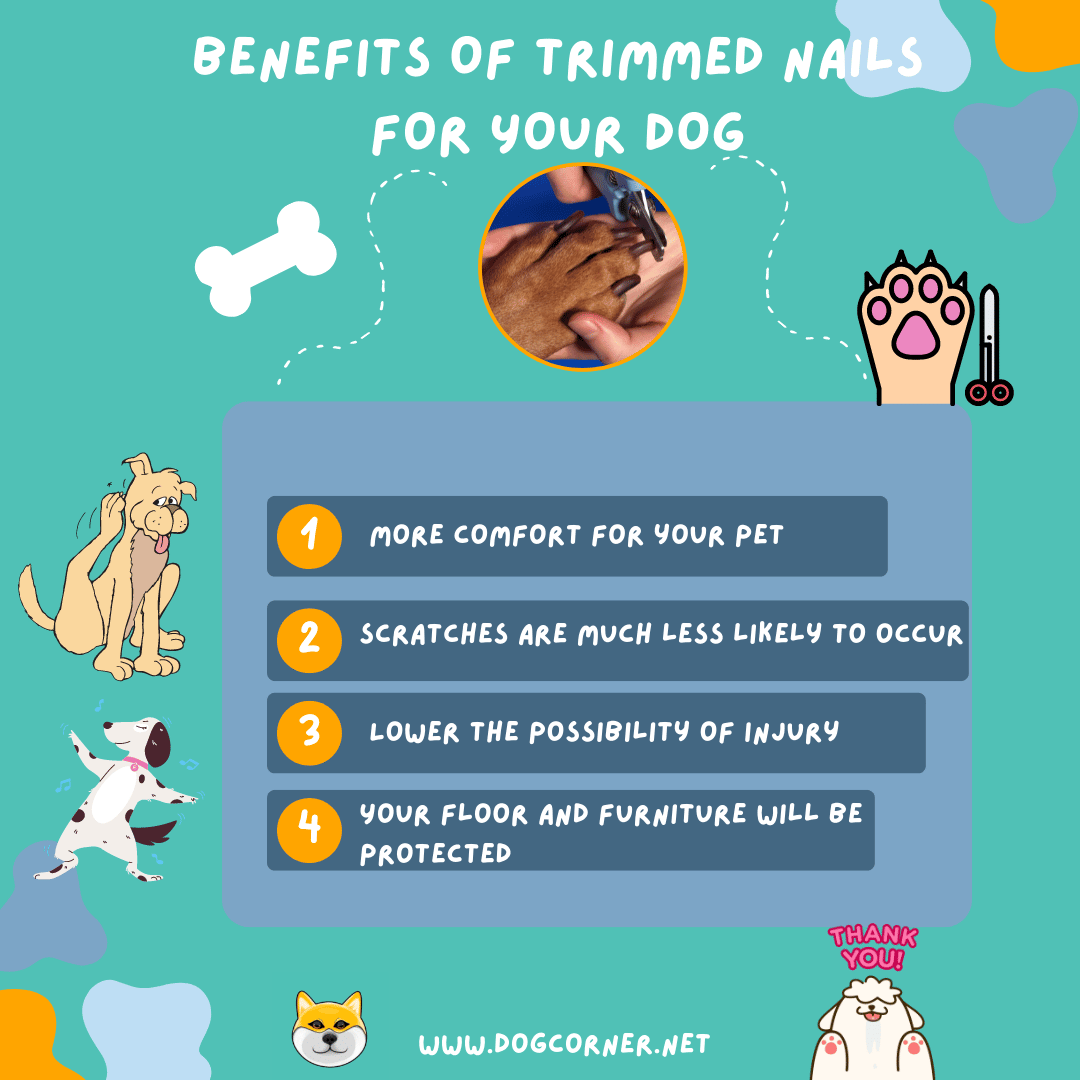 Benefits Of Trimmed Nails