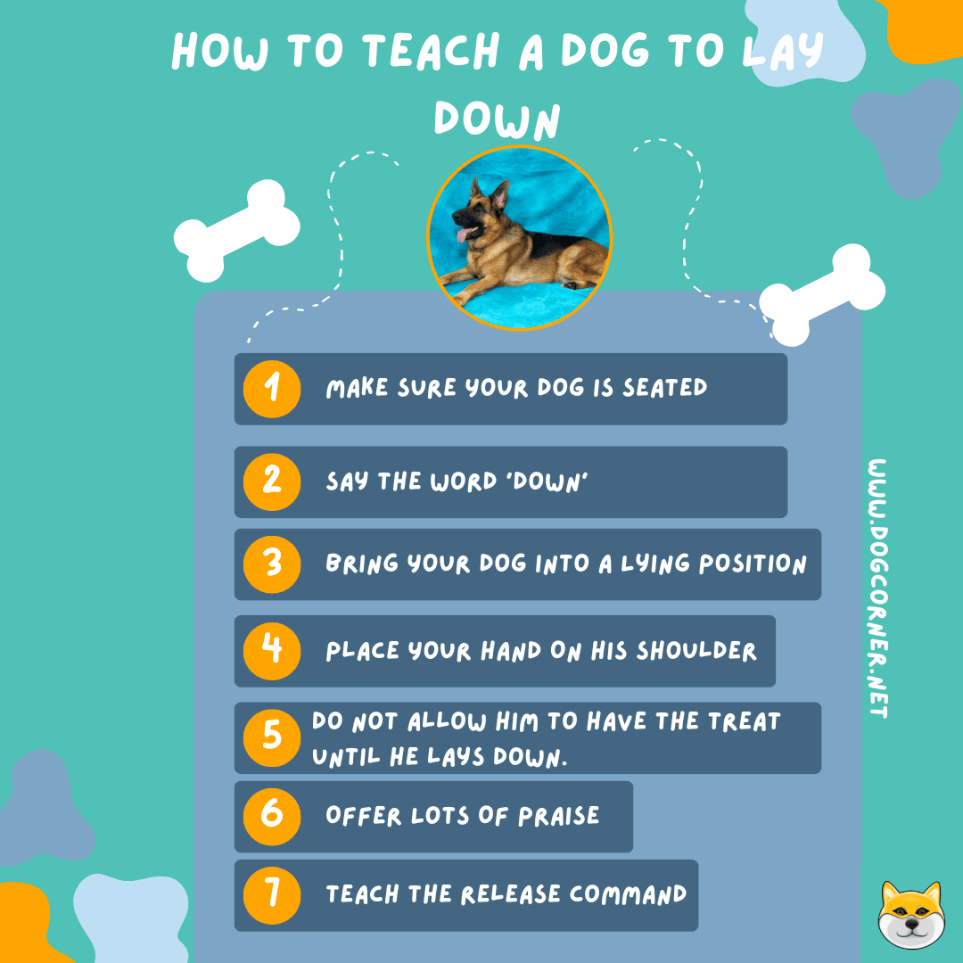 How To Teach A Dog To Lay Down