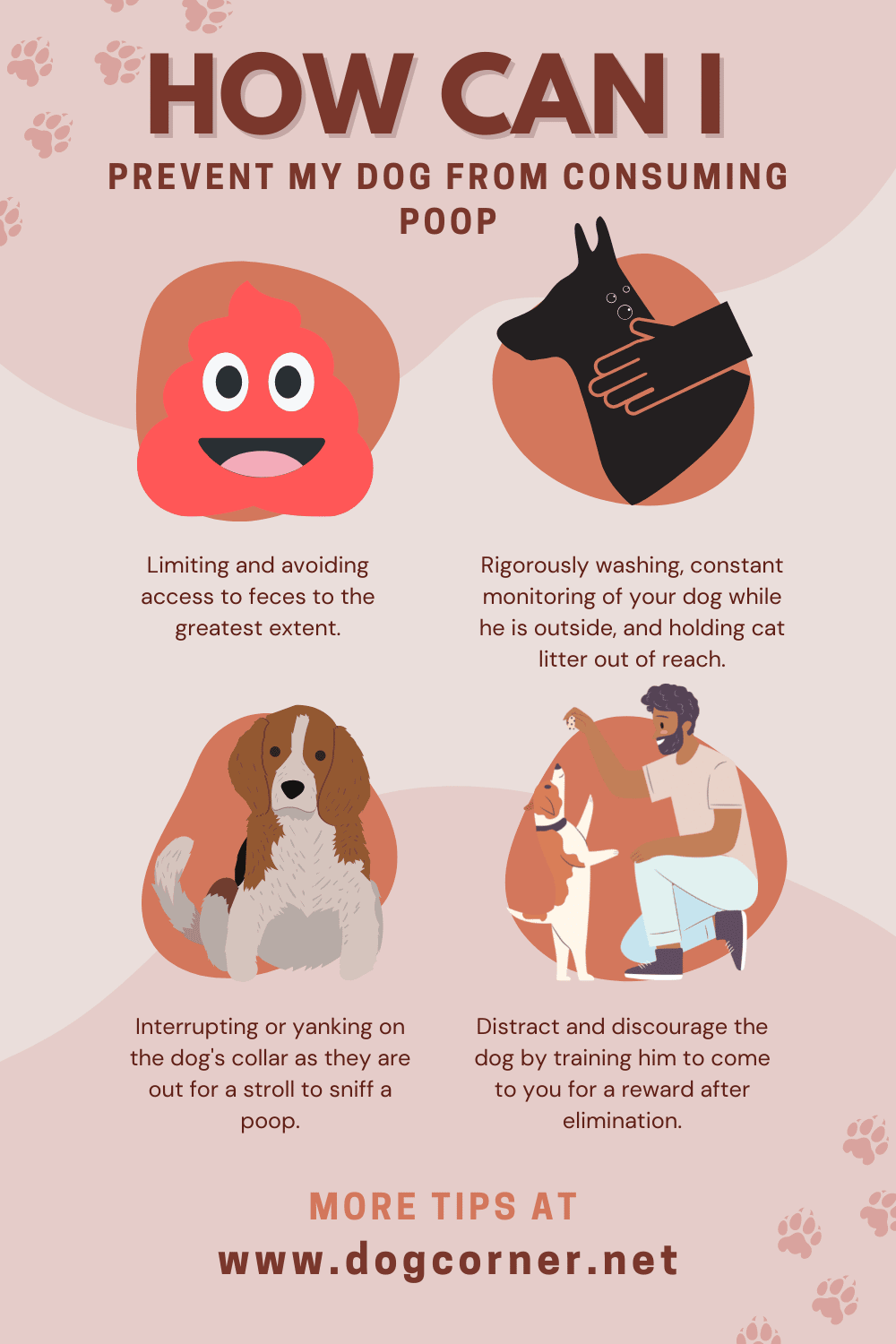 Prevent My Dog from Consuming Poop