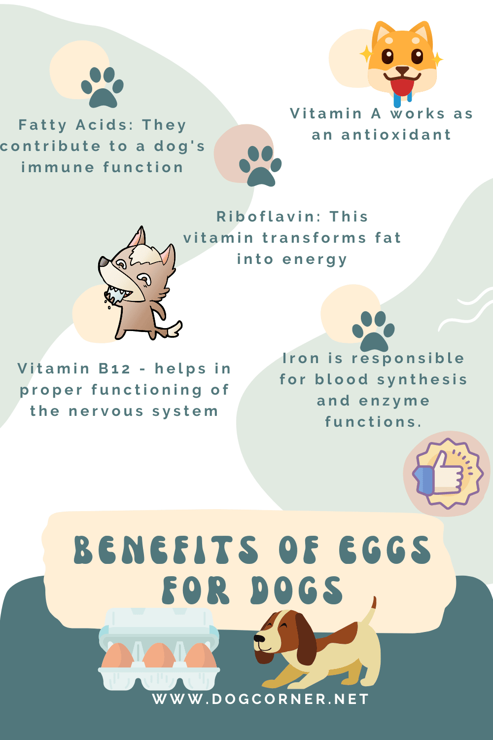 How Do Eggs Help Dogs