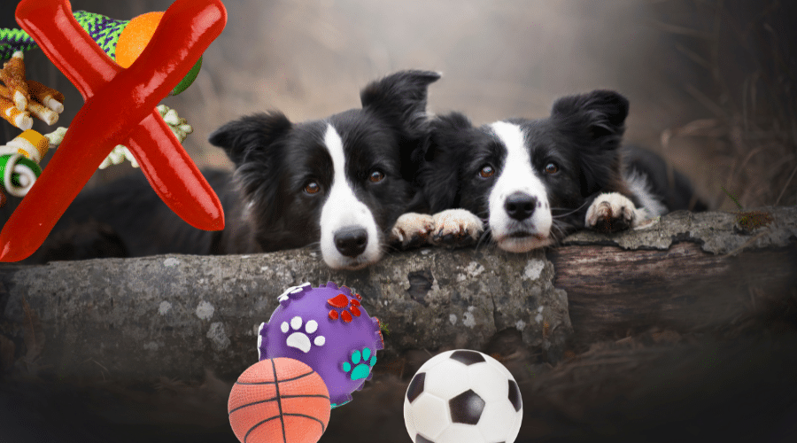 Why Do Dogs Like Squeaky Toys