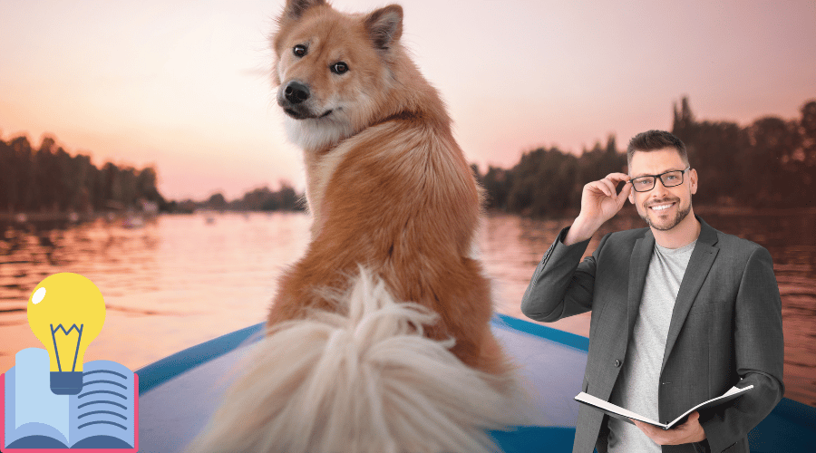 Why Do Dogs Have Tails