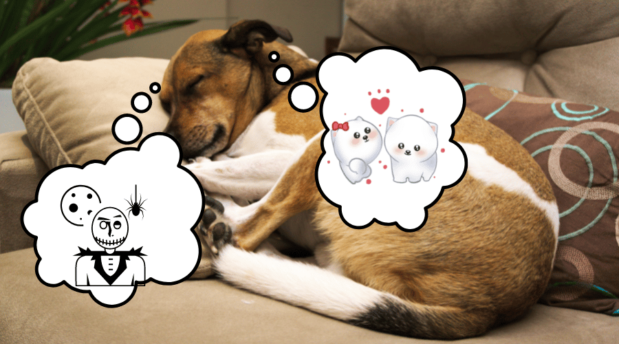 dogs have dreams