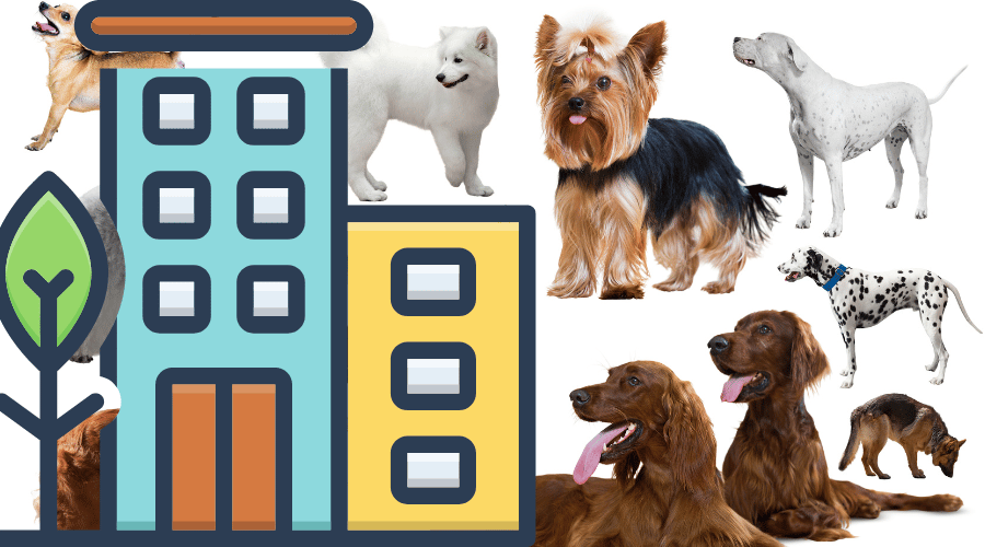 Dog Breeds Typically Restricted From Apartments