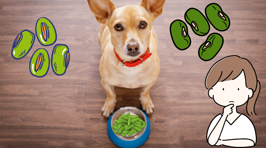 Are Green Beans Good For Dogs