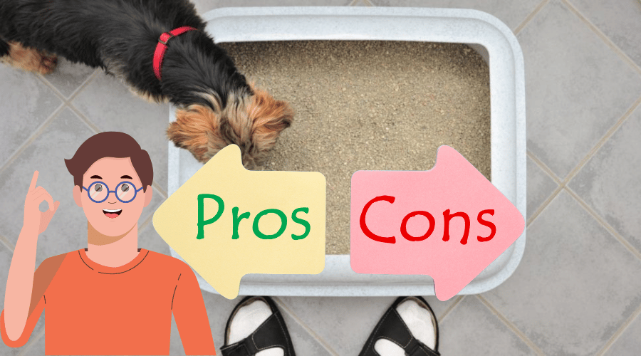 Litter Box Training A Dog Pros And Cons