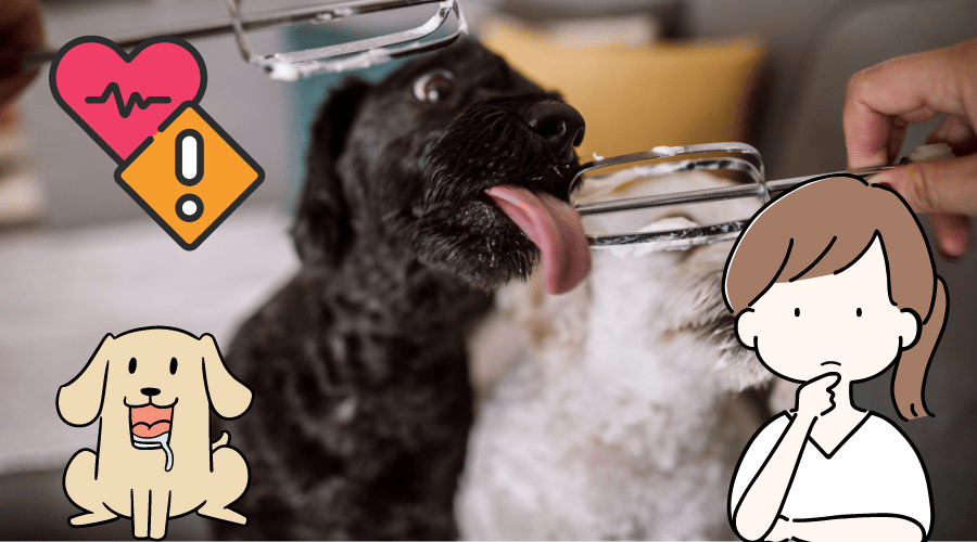 Is Whip Cream Bad For Dogs