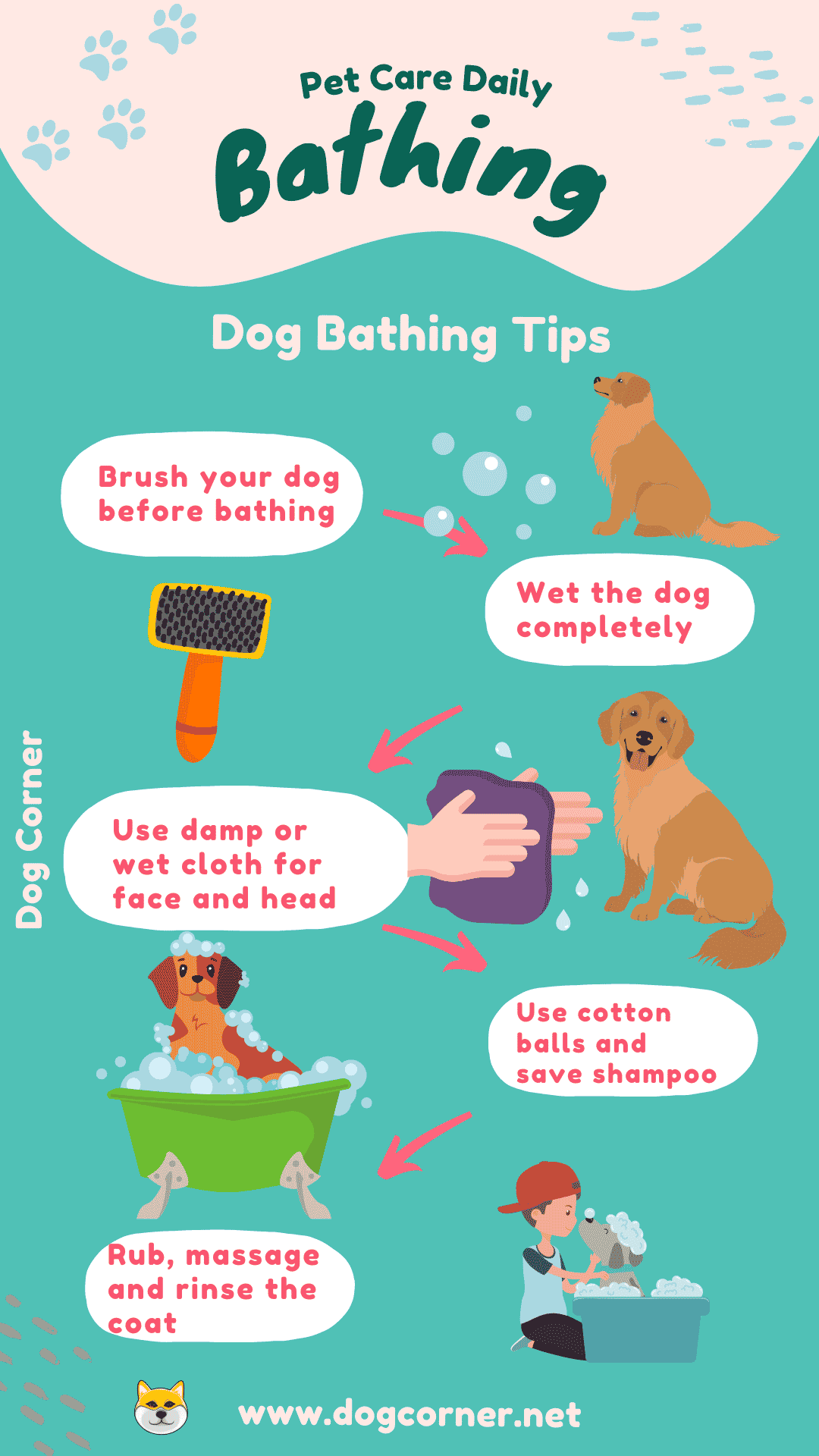Dog Bath Tips