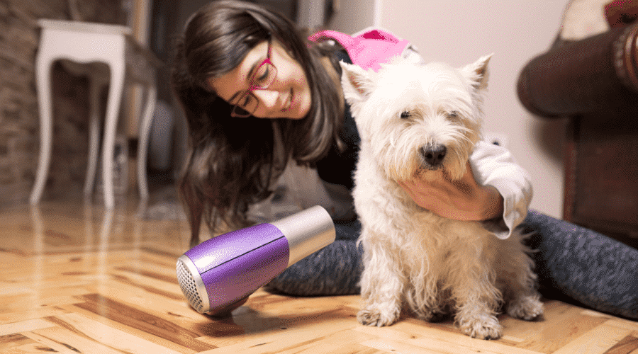dog grooming