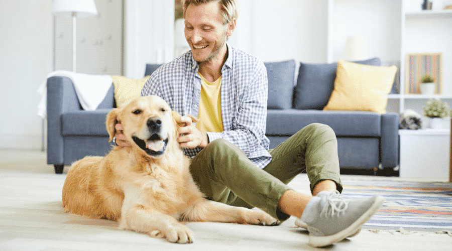 dog at home