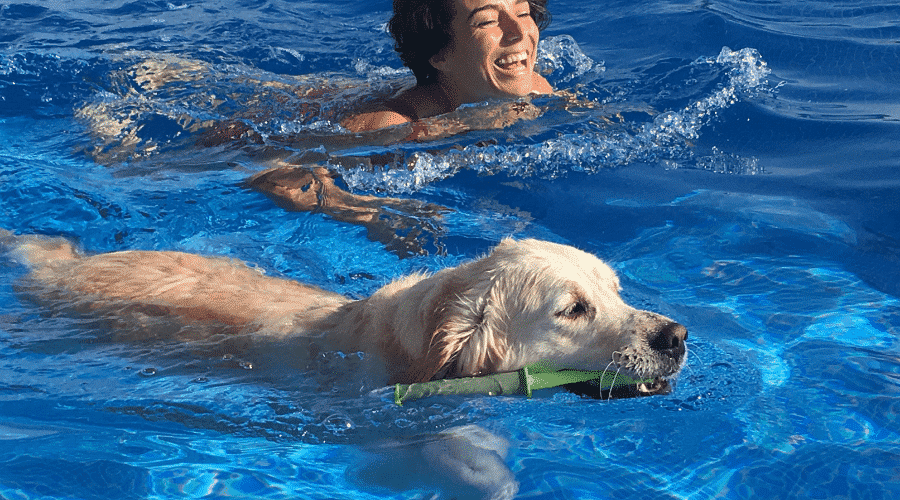 dog play pool