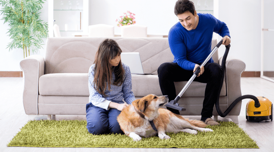 Dog Life Hacks To Make Your Life Easier