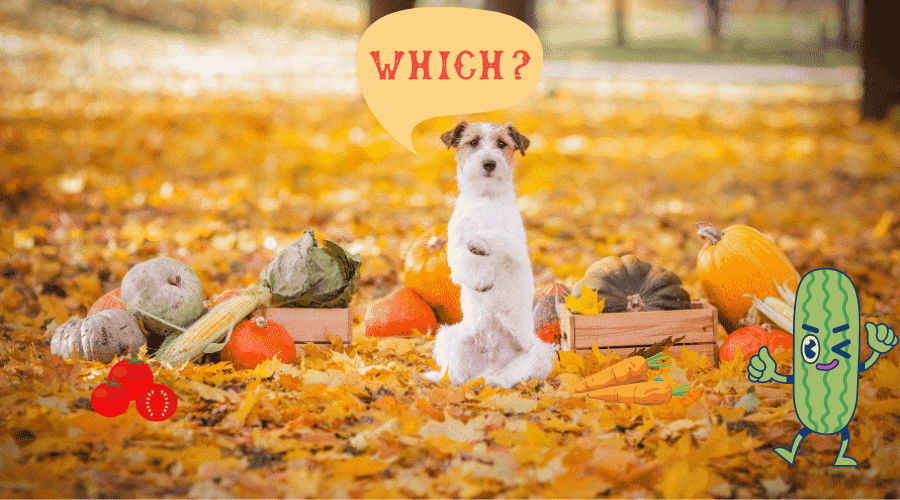 Vegetables Dogs Can and Can't Eat