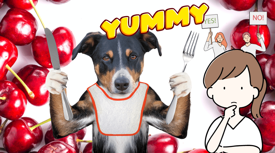 Can Dogs Eat Cherries