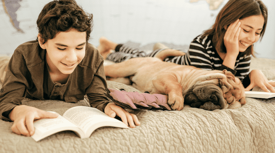 Things dog owners can do stop dog snoring