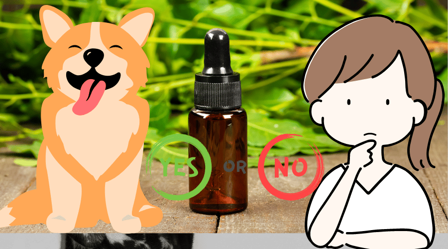 Is Neem Oil Safe For Dogs