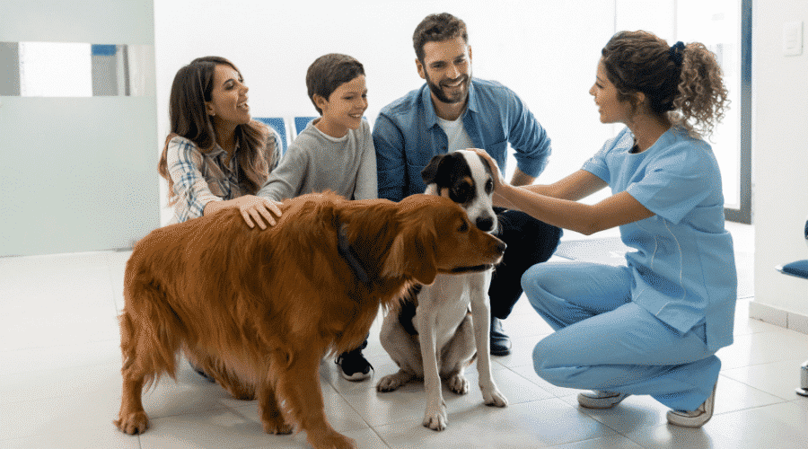when to take dog to vet