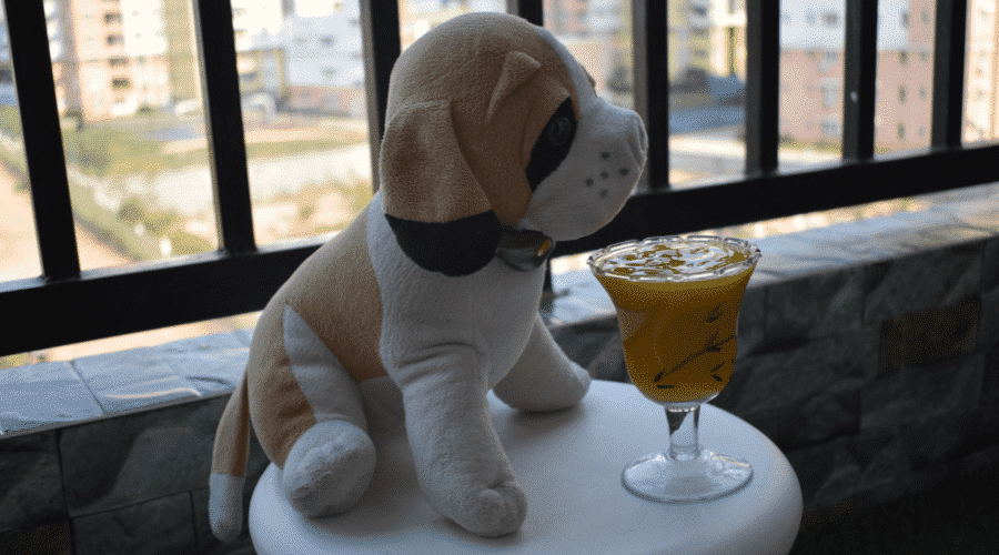 How you should prepare mango for your dog