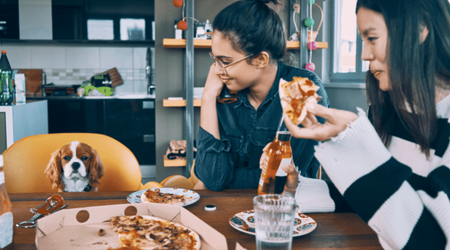 Are human foods good for dogs