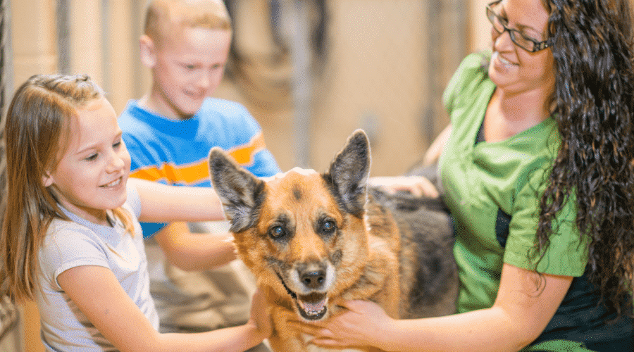 Things You Need To Do Before Adopting A Dog