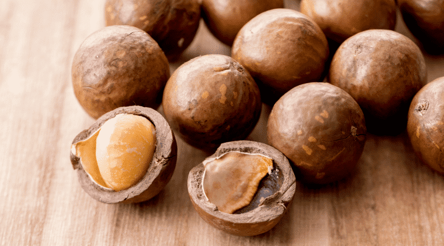 Macadamia Nut Poisoning