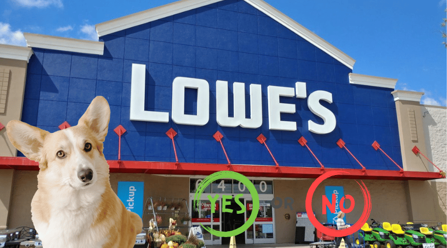 Is Lowes Dog Friendly