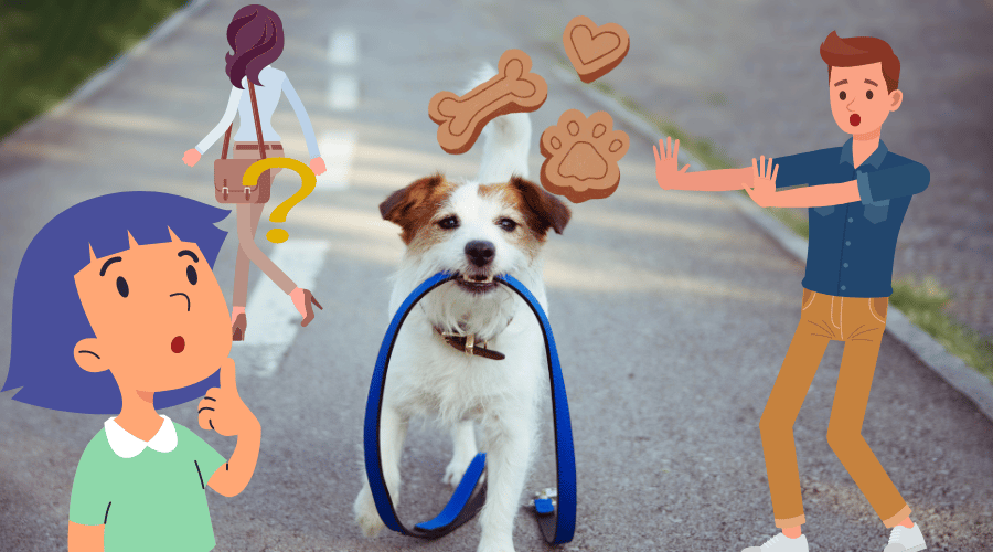Off-Leash Dog Approaches You While Walking A Dog
