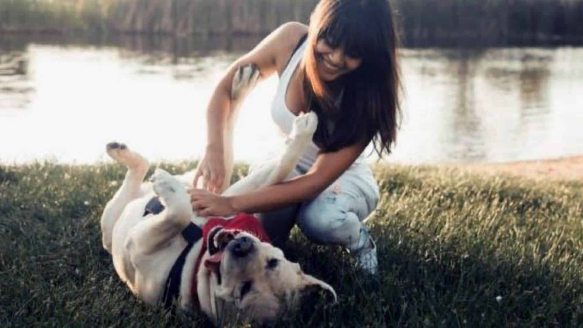 Are Dogs Ticklish