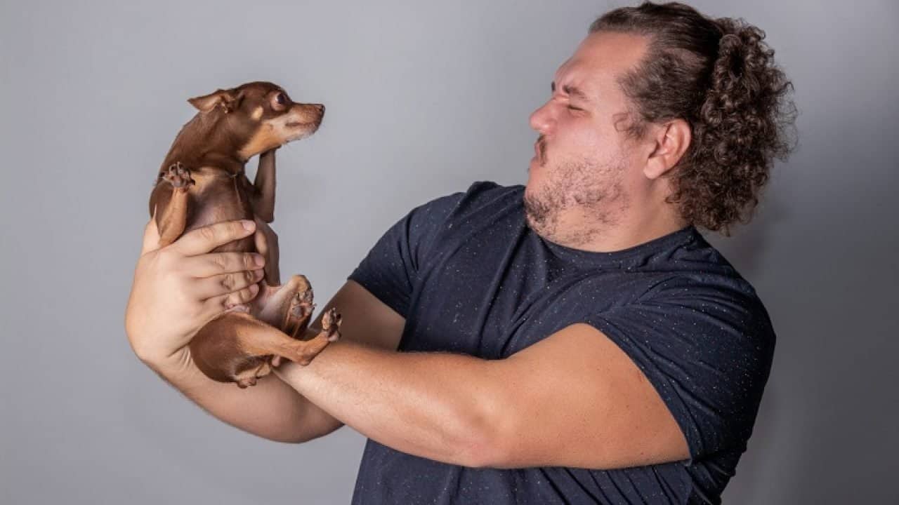 dog smells bad
