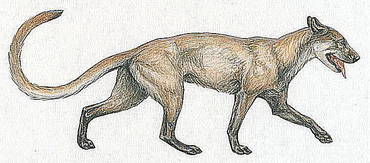 Prehistoric Dog Pictures