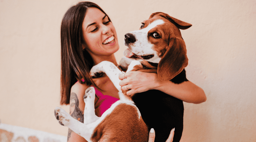 dog wanst affection