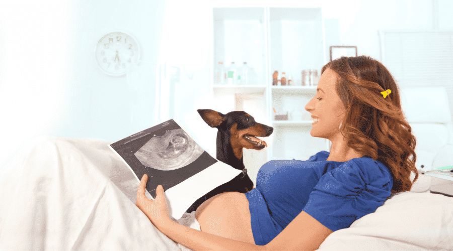 dog might be able to heat fetal heartbeat