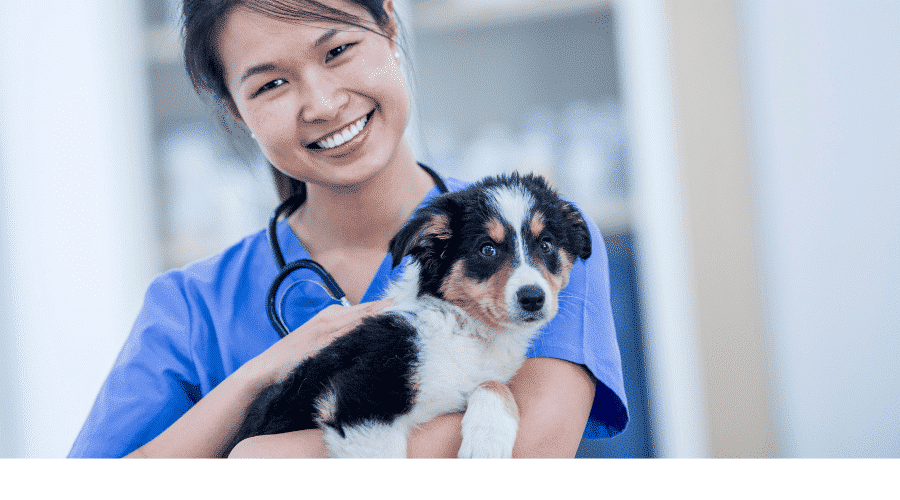 puppy parvo vaccine