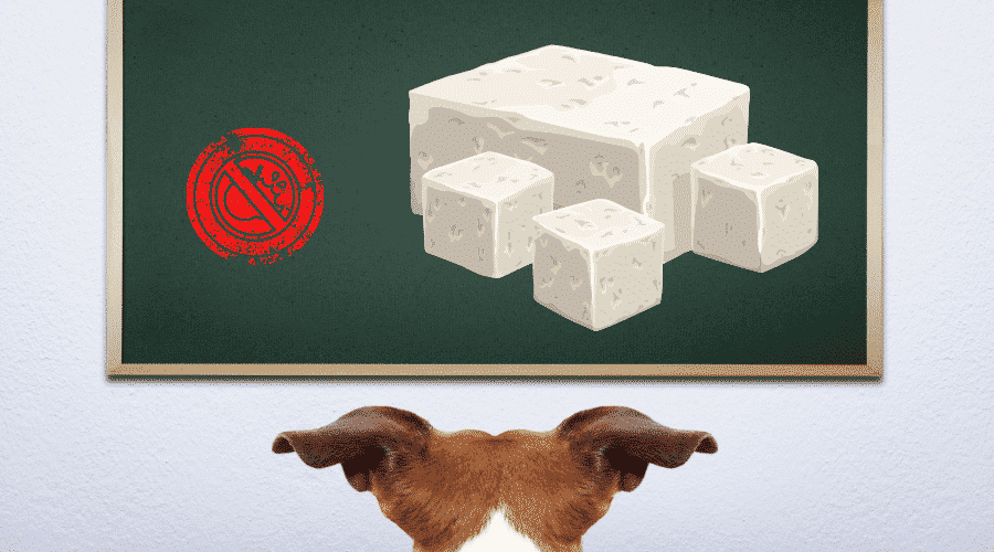 Feta Cheese Not the Right Option For Dogs