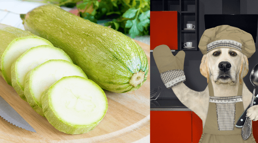 Prepare Zucchini To Your Dog