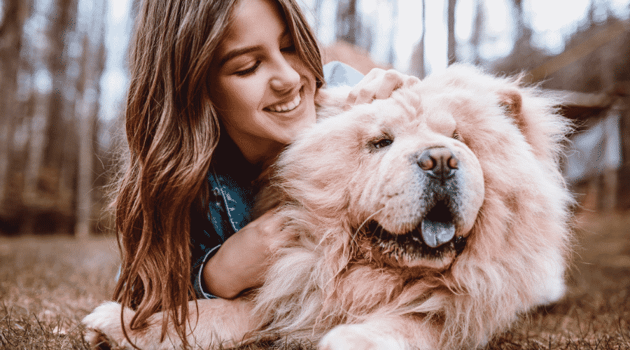 Caring For Chow Chow