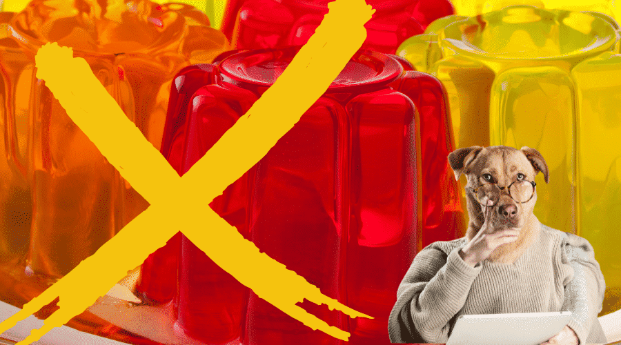 jelly bad for dogs